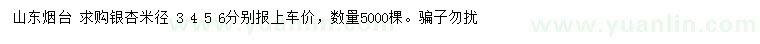 求購米徑3、4、5、6公分銀杏