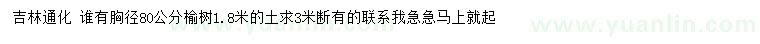 求購胸徑80公分榆樹