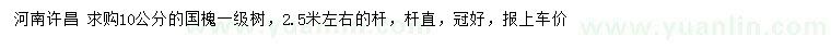 求購10公分國槐