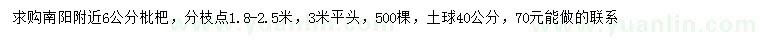 求購6公分枇杷