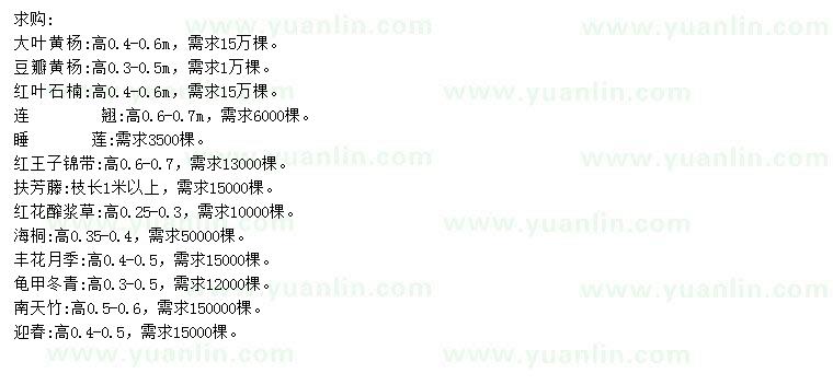 求購(gòu)大葉黃楊、豆瓣黃楊、紅葉石楠等