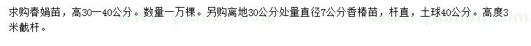 求購(gòu)高30-40公分春娟苗、30公分處量直徑7公分香椿苗