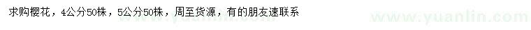 求購(gòu)4、5公分櫻花