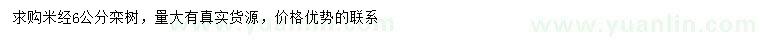 求購米徑6公分欒樹
