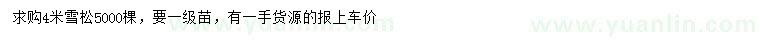 求購4米雪松