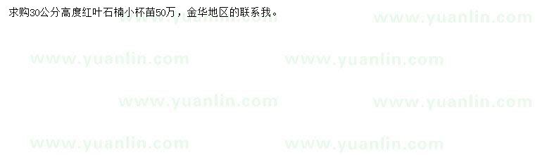 求購高30公分紅葉石楠苗