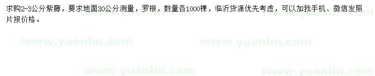求購地徑30公分量2-3公分紫藤