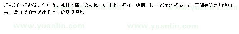 求購獨桿紫微、金葉榆、獨桿木槿等