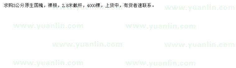 求購(gòu)3公分國(guó)槐