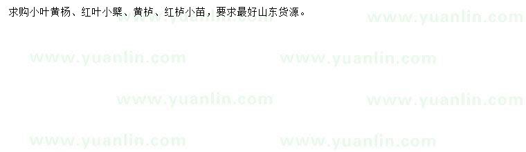 求購小葉黃楊、紅葉小檗、黃櫨等
