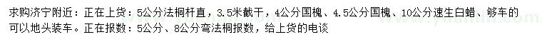 求購法桐、國槐、速生白蠟