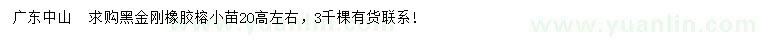求購(gòu)高20公分左右黑金剛橡膠榕小苗
