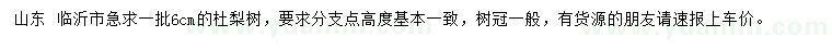 求購(gòu)6公分杜梨樹(shù)