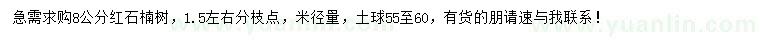 求購(gòu)8公分紅石楠樹