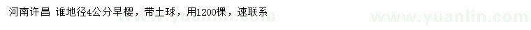 求購(gòu)地徑4公分早櫻