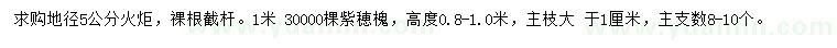 求購地徑5公分火炬、高0.8-1米紫穂槐