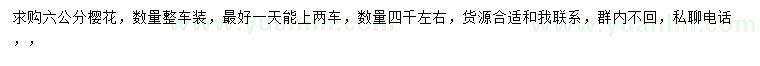 求購6公分櫻花