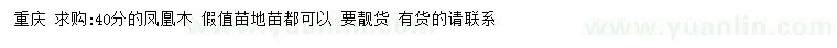 求購(gòu)40公分鳳凰木