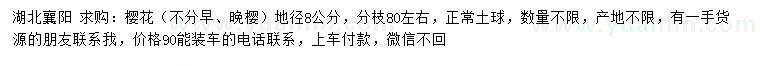 求購地徑8公分櫻花