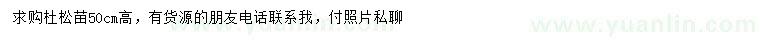 求購高50公分杜松苗