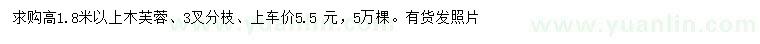 求購高1.8米以上木芙蓉