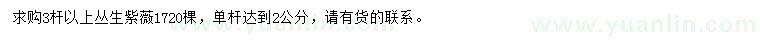 求購3桿以上叢生紫薇