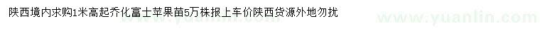 求購(gòu)高1米起喬化富士蘋果苗