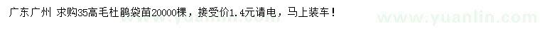 求購高35公分毛杜鵑