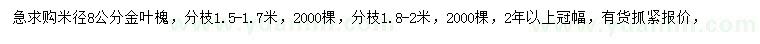 求購(gòu)米徑8公分金葉槐