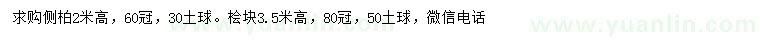 求購高2米側(cè)柏