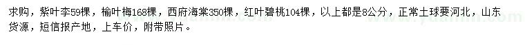 求購(gòu)紫葉李、榆葉梅、西府海棠等