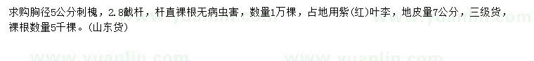 求購(gòu)胸徑5公分刺槐、地皮量7公分紫葉李
