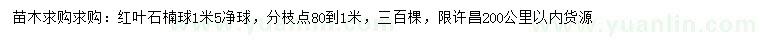 求購1.5米紅葉石楠球