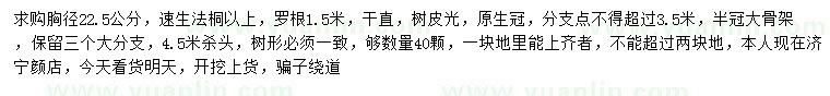 求購(gòu)胸徑22.5公分速生法桐