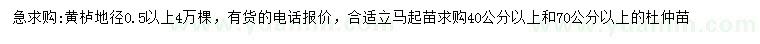 求購(gòu)地徑0.5公分以上黃櫨、40、70公分以上杜仲苗