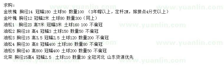 求購金枝槐、金葉槐、油松等