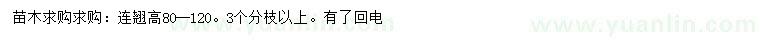求購高80-120公分連翹