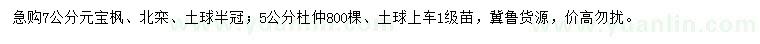 求購元寶楓、北欒、杜仲