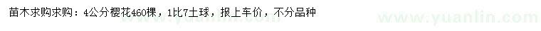 求購4公分櫻花