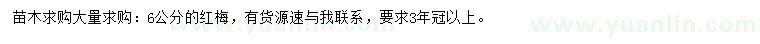 求購6公分紅梅