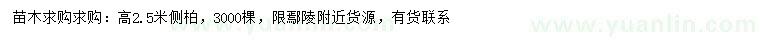求購高2.5米側(cè)柏