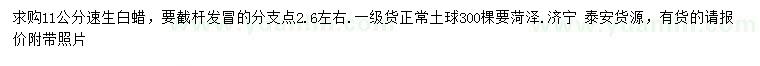 求購(gòu)11公分速生白蠟