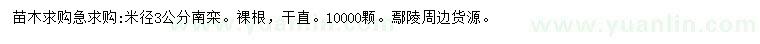 求購米徑3公分南欒
