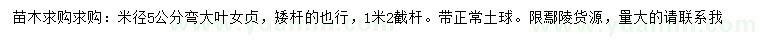 求購米徑5公分大葉女貞
