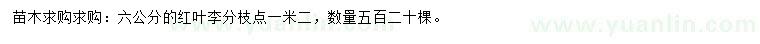 求購(gòu)6公分紅葉李