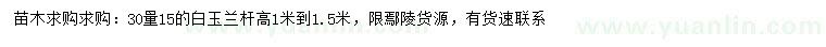 求購30量15公分白玉蘭