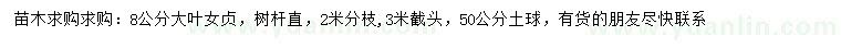 求購(gòu)8公分大葉女貞