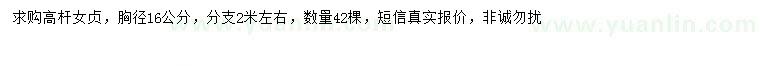 求購胸徑16公分高桿女貞
