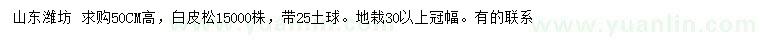求購高50公分白皮松