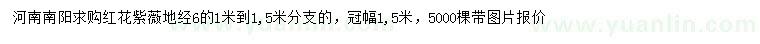 求購地徑6公分紅花紫薇